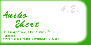 aniko ekert business card